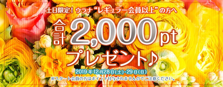12月1,000PTキャンペーン?