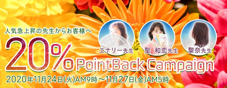 11月20%キャンペーン