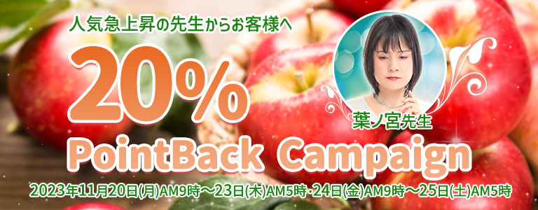 11月20%キャンペーン