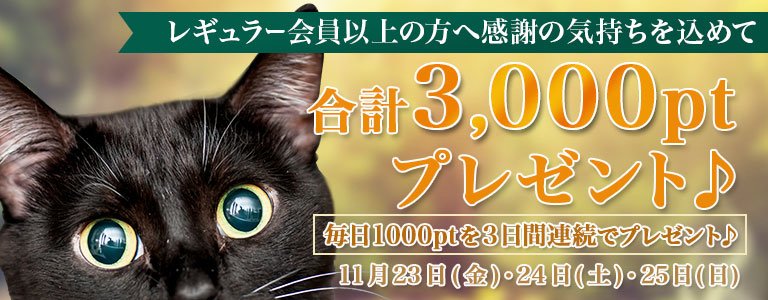 11月1,000PTキャンペーン?