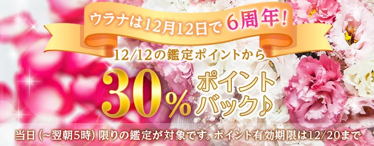 6周年ポイント30%CP