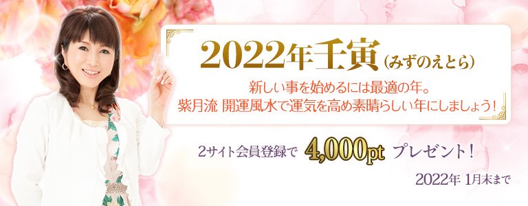 紫月香帆：ポイントUP