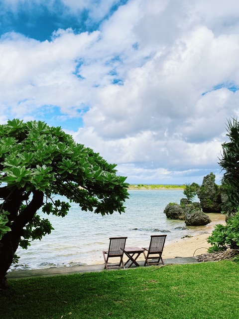 占い師魔女アリソンのお気に入り写真1