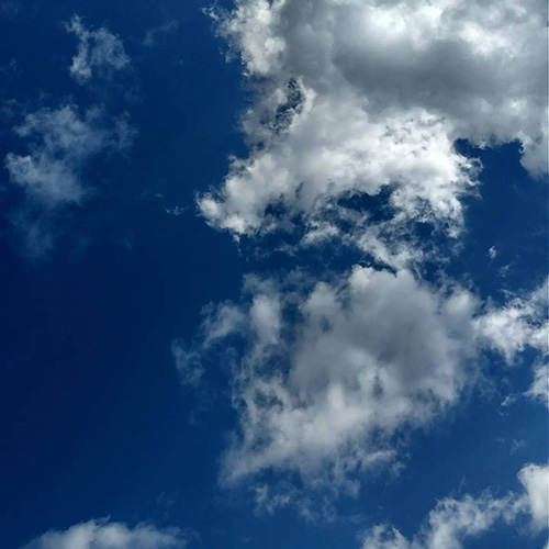 占い師りこのお気に入り写真1