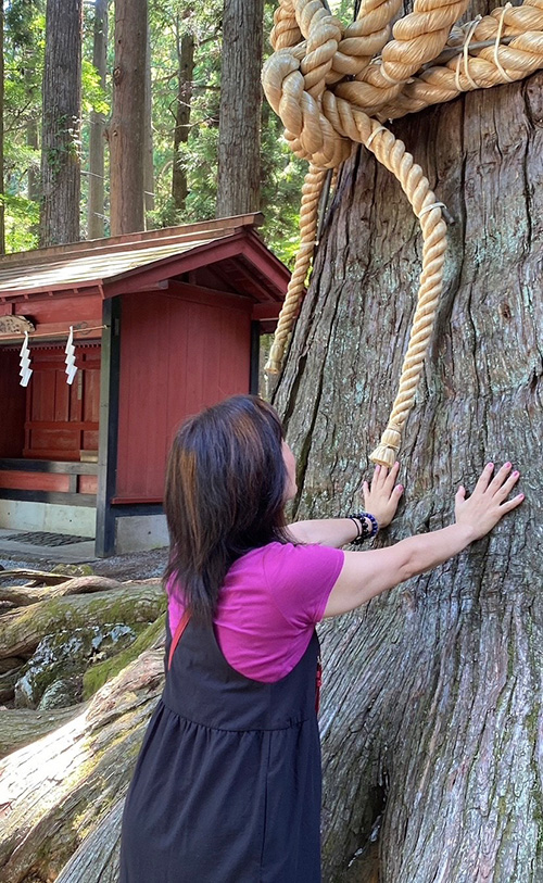 占い師心愛のお気に入り写真2